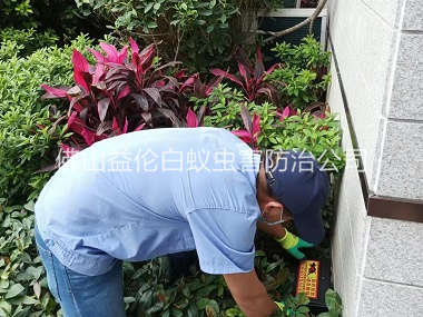 佛山住宅环境灭鼠工程